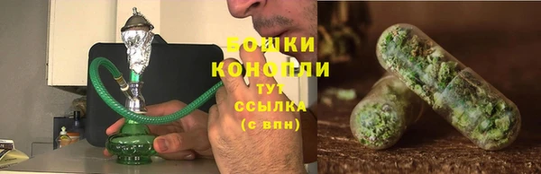 соль ск Осташков