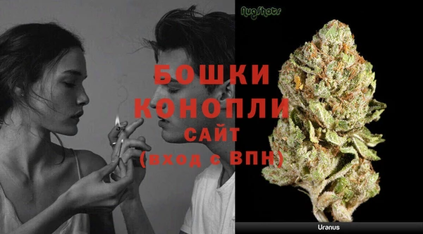 гашик Остров