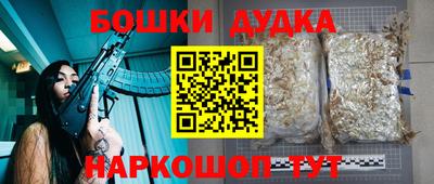 гашик Аргун