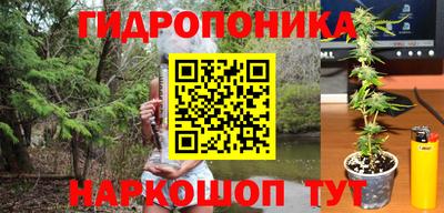 гашик Аргун