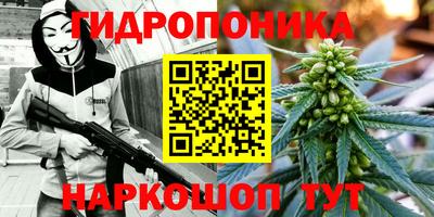 гашик Аргун