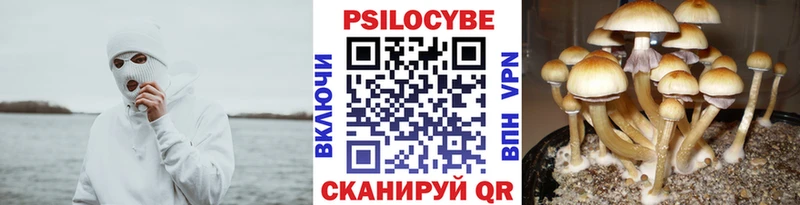 Галлюциногенные грибы Magic Shrooms  Кувандык 