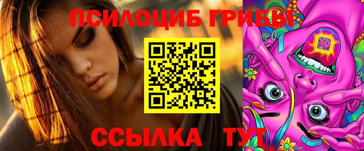 цена   Кувандык  Галлюциногенные грибы прущие грибы 