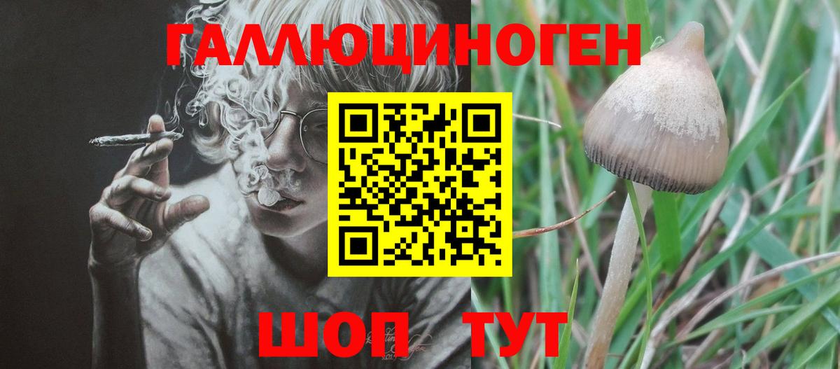 ГАШИШ  МДМА  Кувандык  МЕФ   Кетамин  Каннабис  A-PVP СК  