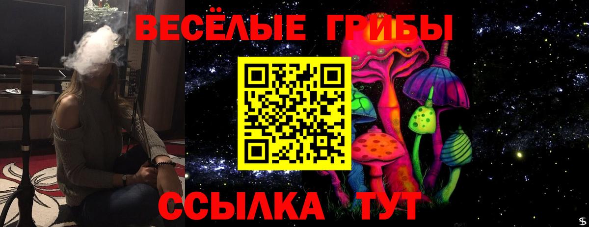 Псилоцибиновые грибы прущие грибы  Вход с VPN  Кувандык 