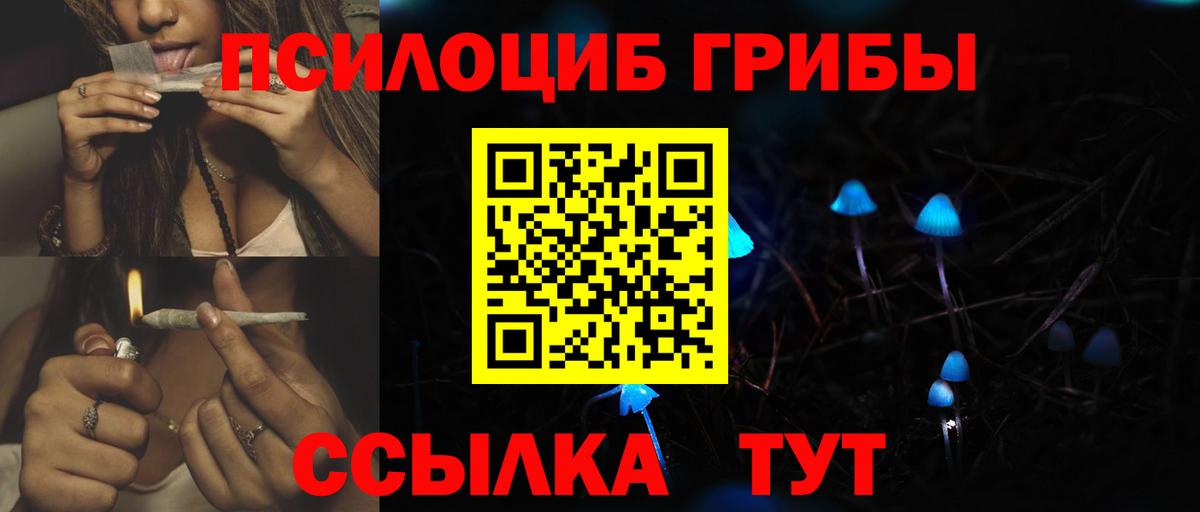 Галлюциногенные грибы прущие грибы Кувандык